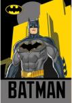Pyramid Carnet Pyramid DC Comics: Batman - Batman, A5 (SR74709)