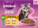 Whiskas Szárnyas válogatás aszpikban Junior nedves macskatáp - 12 csomag - 1.020 g