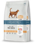 Quattro | Adult Chicken | Csirkés teljes értékű táp felnőtt macskáknak - 1, 5 kg