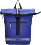 Beagles Bicycle Originals 24083 Cobalt