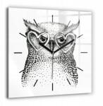 Foto Üveg Falióra Konyha Rajzolt bagoly szemüveggel 60x60 cm (010010500080200267839)