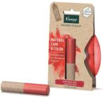Kneipp Regeneráló balzsam Kneipp 3, 5 g 3, 5 g ml (4008233160214-2)
