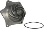 THERMOTEC Pompa de Apa (cu Rulment) Fiat M100 M115 M135 M160 Ford 8160 8260 8360 8560 Tm 115 Tm 125 Tm 150 Tm 165 New Holland 850 (WP-CA168)