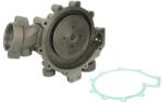 DOLZ Pompa de Apa Daf 75 Cf Cf 75 Xf 105 Xf 95 Mx375-xe355c 02.98- DAF 75 CF/CF/XF/XF 95 MX375-XE355C (DOLZD315)