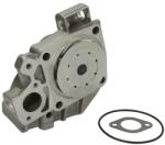 HEPU Pompa de Apa Fiat Ducato Ford Focus Ii 2.4d/2.5/2.5d 01.82-09.12 ALFA ROMEO AR 6 FIAT DUCATO (HEPP092)