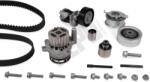 HEPU Kit Set de Distributie Curea si Pompa de Apa Audi A1 A3 A4 Allroad B8 A4 B8 A5 A6 C7 Q3 Q5 Tt Seat Alhambra Altea Altea (HEPPK06621-XT1)
