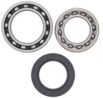 4 RIDE Kit Rulment Roata Spate (cu Garnitura) Yamaha Yfm 250/350 1987-1995 YAMAHA YFM (AB25-1010)