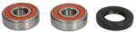 TOURMAX Kit Rulment Roata Fata (cu Etansanti) Kawasaki S1 250 1972-1975 KAWASAKI S1 (WBK-143)