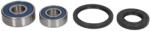 ALL BALLS Kit Rulment Roata Fata (cu Etansanti) Beta Evo Gas Gas Fse Kawasaki Klx Kx Kxf Suzuki Dr-z Rm Rm-z Yamaha Yfm 90-500 (25-1079)