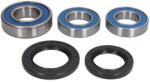 ALL BALLS Kit Rulment Roata Spate (cu Etansanti) Yamaha Tdm Xjr Yzf 750-1300 1994-2006 YAMAHA TDM/XJR/YZF (25-1493)