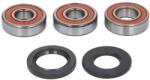 TOURMAX Kit Rulment Roata Spate (cu Etansanti) Kawasaki Zxr 750 1989-1990 KAWASAKI ZXR (WBK-379)