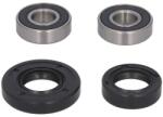 PIVOT WORKS Kit Rulment Roata Fata (cu Etansanti) Yamaha Tt-r 125 2000-2018 YAMAHA TT-R (PWFWK-Y17-001)