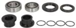 PIVOT WORKS Kit Rulment Roata Spate (cu Etansanti) Yamaha Wr Yz 125-426 1999-2001 YAMAHA WR/YZ (PWRWC-Y02-500)