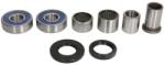ALL BALLS Kit Rulment Roata Spate (cu Etansanti) Yamaha Xvs 950/1300 2007-2017 YAMAHA XVS (25-1773)