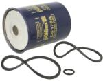 PURFLUX Filtru Combustibil Daf 400-serie Volvo 340-360 Aro 10 240-244 Citroen Bx C25 C35 Cx I Cx Ii Xm Fiat Regata Ritmo Ford (PXCS178A)