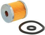 SF Filtru Combustibil Aebi Tp 1000 Tp 25 Ferrari 72 S 91 Schilter Tr 1000 Tr 1500 (SK3835)
