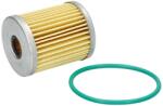 PARSUN Filtru Combustibil F40-07010000EFI-1 (F40-07010000EFI-1)