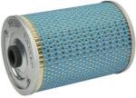 HENGST Filtru Combustibil E2020KP (E2020KP)