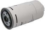 FPT Filtru Combustibil Case New Holland (504287000-FPT)