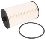 FPT Filtru Combustibil 5803109724-FPT (5803109724-FPT)