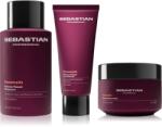 Sebastian Professional Penetraitt Bundle szett sérült, vegyileg kezelt hajra