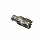 Makita Carota cu prindere weldon Makita 19 mm (19S)