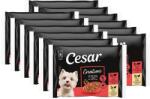 Cesar Cesar Creations pliculețe cu vită și pui în jeleu 12 x (4x100 g)