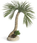 Oase biOrb palm tree Seychelles L
