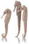 Oase biOrb Seahorses 3darab natural