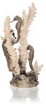Oase biOrb Seahorses on coral natural M