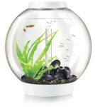 OASE Classic akvárium 60 liter - LED - fehér - Thermo