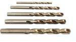 FORSAGE set burghie pentru metal 6 mm HSS, 10 buc. FS-19874 (19874) Burghiu