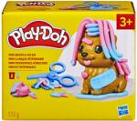 Hasbro Set Play-Doh Mini Frizerie și Veterinar (E4902_F7908)