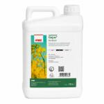 Fmc Gajus 10L - Erbicid Sistemic Petoxamid + Picloram - Buruieni Graminee, Rapita - FMC 10L