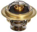 FPT Termostat Sistem Racire Case Ih 100 55 65 70 2wd 70 4wd 75 80 2wd 80 4wd 85 90 2wd 90 4wd 95 70 80 90 New Holland Lm (98463638-FPT)