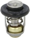 QUICKSILVER Termostat 8M0139434 (8M0139434)