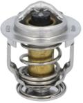 THERMO KING Termostat Thermo King 130385 (130385)
