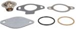 QUICKSILVER Termostat (60 °c 140 °f (807252T4)