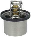 MAHLE Termostat Sistem Racire (75°c ) Daf 95 Ws225-ws315m 09.87-01.98 DAF 95 (THD175)