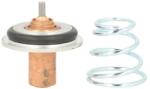 THERMOTEC Termostat Sistem Racire (89°c) Nissan Primastar Primera Opel Movano a Vivaro a Renault Clio Ii Espace Iii Espace Iv (D2R002TT)