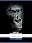 Nebulo Nebulo: Tűzött vonalas gorilla mintás füzet 81-32 A/4 (VO-AM-A4-12348015)