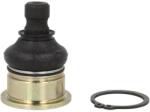 ALL BALLS Articulatie Sferica Inferior Yamaha Yfm 660 2002-2008 YAMAHA YFM (42-1034)