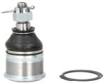 FEBI Pivot Axa Dreapta/Stanga (inferior Fata) (diametru Con 16mm cu Inel de Reglare a Arcului) Honda Accord Iv Accord V (FE15495)