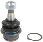 REINHOCH Pivot Axa Dreapta/Stanga (inferior Fata) (diametru Con 19, 7mm) Vw Transporter T3 1.6-2.1 05.79-07.92 VW TRANSPORTER T3 (RH03-0030)