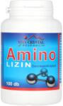 Flavin Amino Lizin 100db (2026.10. 08)