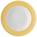 THOMAS Vase de gatit Thomas Sunny Day 23 cm Galben, design vesel, versatilitate in bucatarie (71114634)