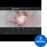 Impact Soundworks Camellia Concert Grand (Digitális termék)