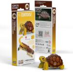 dodoland Puzzle 3D din carton EUGY cu broasca țestoasă