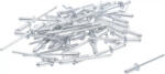 BGS technic popszegecs készlet 50 db 3.2 mm (75847)