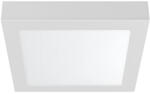 BRAYTRON Bry-smd-srp-18w-sqr-wht-6500k-led Panel (br-bp04-61830)